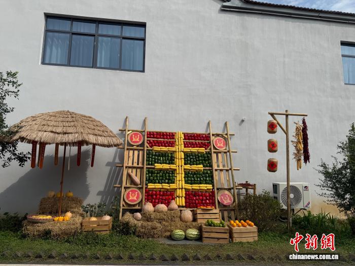 平台增长战略路径解析 - 问鼎娱乐官网