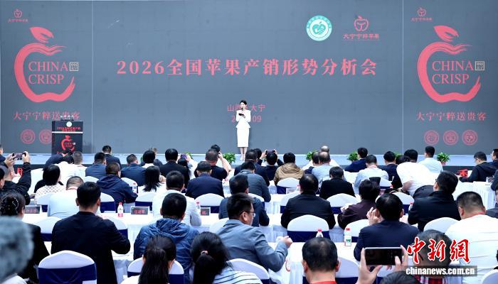 平台增长战略路径解析 - 问鼎娱乐官网